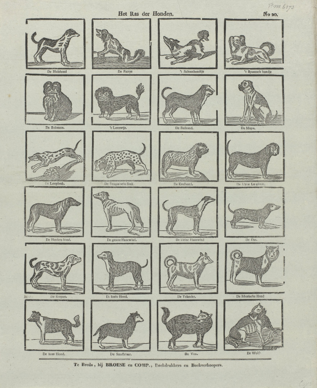 Offenes Buch mit Illustrationen und Beschreibungen verschiedener Hundewelpen auf seinen Seiten.