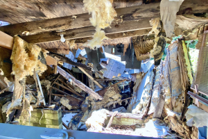 Mit Schutt bedeckter Raum mit verstreuten Holzstöcken, Laken und Gegenständen, Bäume sind im Hintergrund sichtbar.
