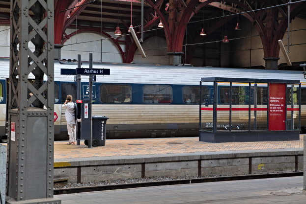 Ein Zug fährt auf einem Bahnsteig ein, neben dem eine Person steht, mit einem Müllbehälter, Pfosten, Informationsschildern und Deckenleuchten.