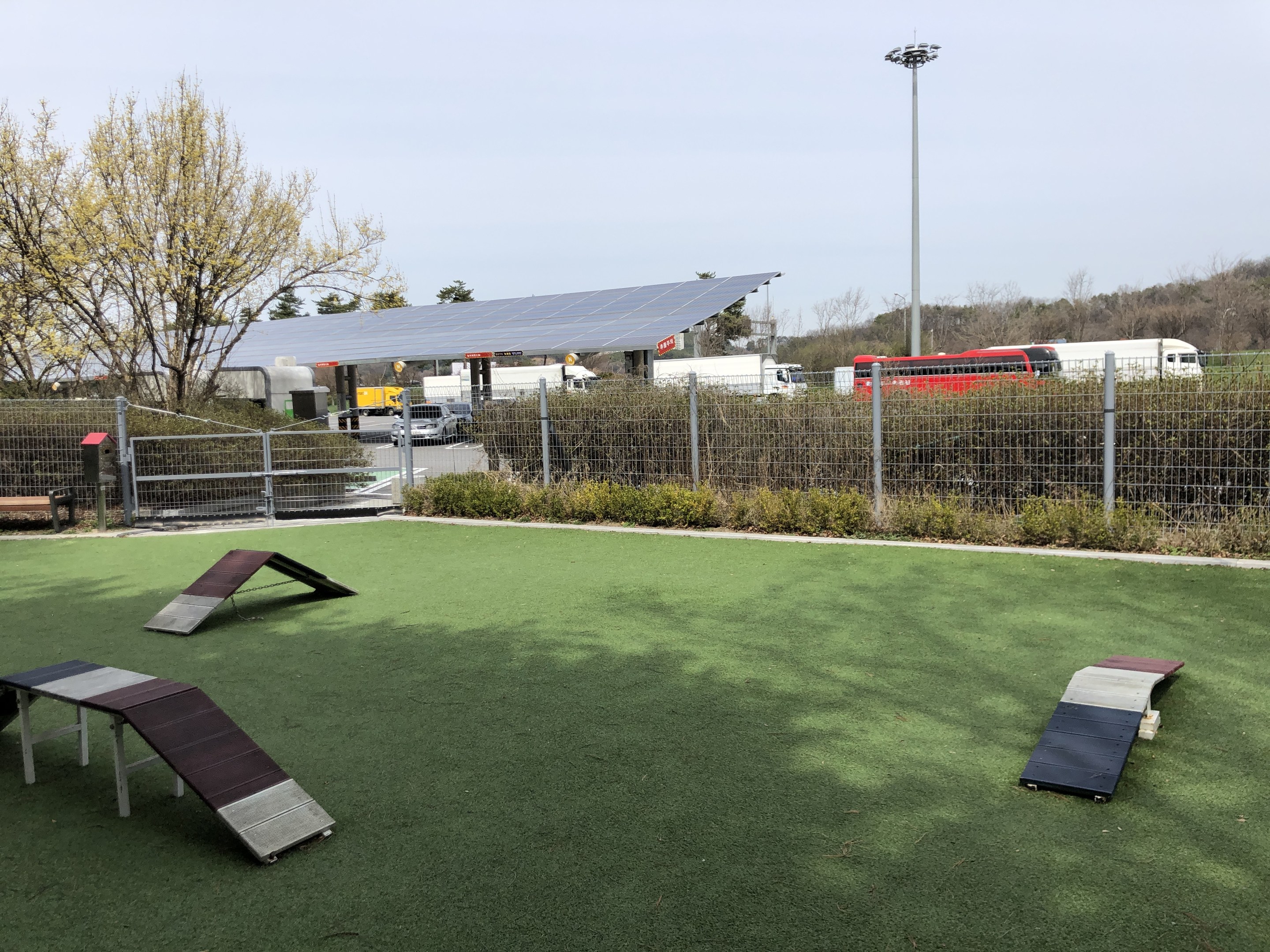 Ein umzäunter Hundepark mit künstlichem Gras, Rampen, Pflanzen, Bäumen, Fahrzeugen, Hütten, Pfählen und einer Laterne unter einem sichtbaren Himmel.