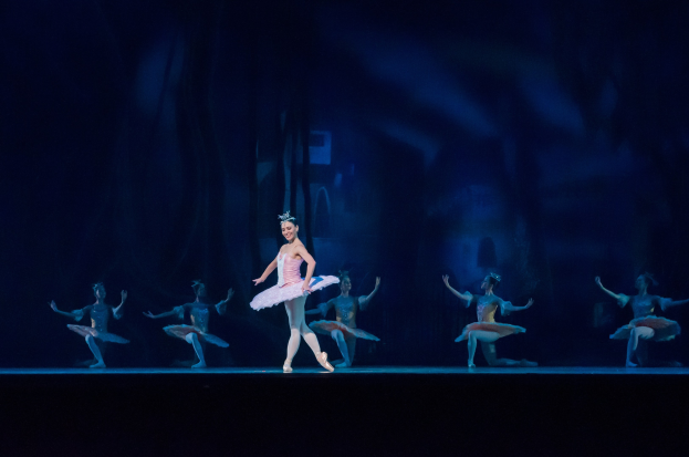 Eine Ballerina in einem pinken Tutu und Spitzenschuhen tanzt auf einer Bühne umgeben von anderen Tänzern in passenden Kostümen, mit einem dunklen Hintergrund, der einen dramatischen Kontrast schafft.
