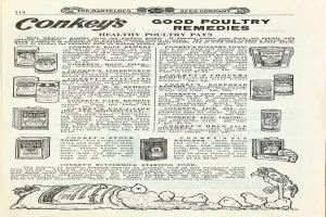 Eine alte Werbung für Conkey's Good Poultry Remedies, die Text und Bilder verschiedener Lebensmittel auf einem Blatt Papier zeigt.