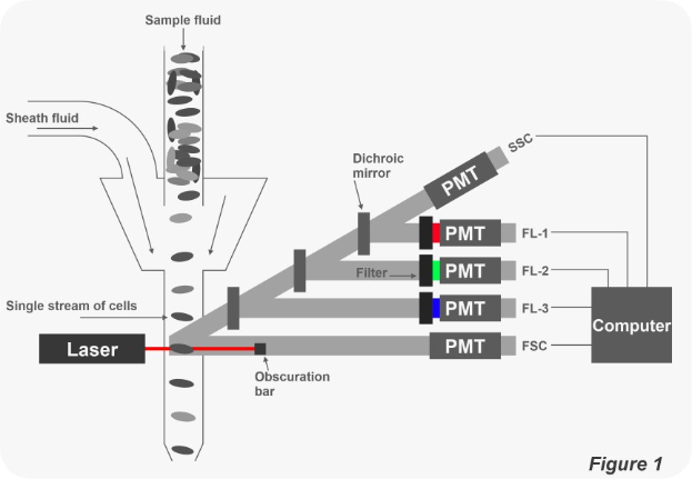 Diagramm, das eine schematische Darstellung eines Einzelzell-Streamsystems mit einem Laser und einem Computer zeigt, der mit Komponentenbeschriftungen verbunden ist.
