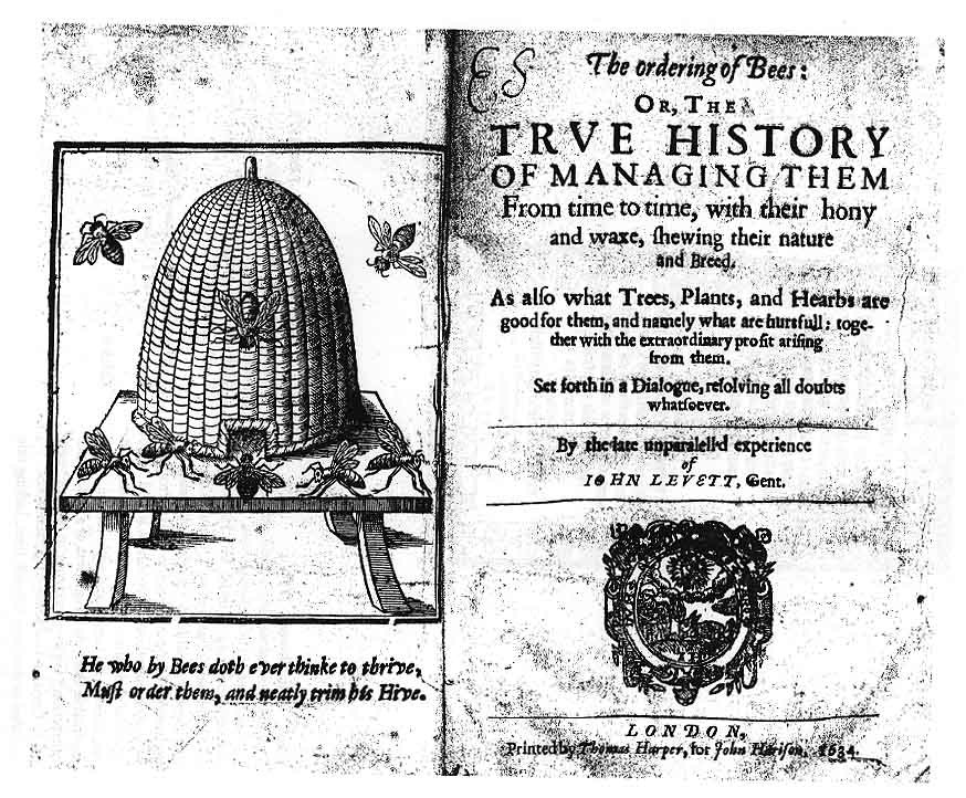 Ein altes Buch mit einer Zeichnung eines Bienenstocks umgeben von Insekten, betitelt mit "Die Ordnung der Bienen oder die wahre Geschichte ├╝ber ihre Haltung".