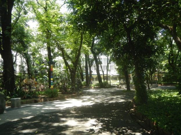 Ein gewundener Weg durch einen dichten grünen Wald mit Bäumen und Pflanzen auf beiden Seiten, der zu Gebäuden unter einem klaren blauen Himmel führt.