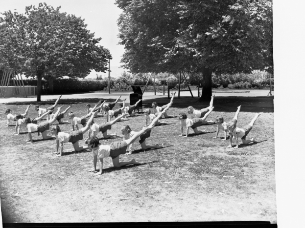 Schwarzes und weißes Foto einer Gruppe von Menschen, die Yoga in einem Park umgeben von Bäumen und Pflanzen machen.