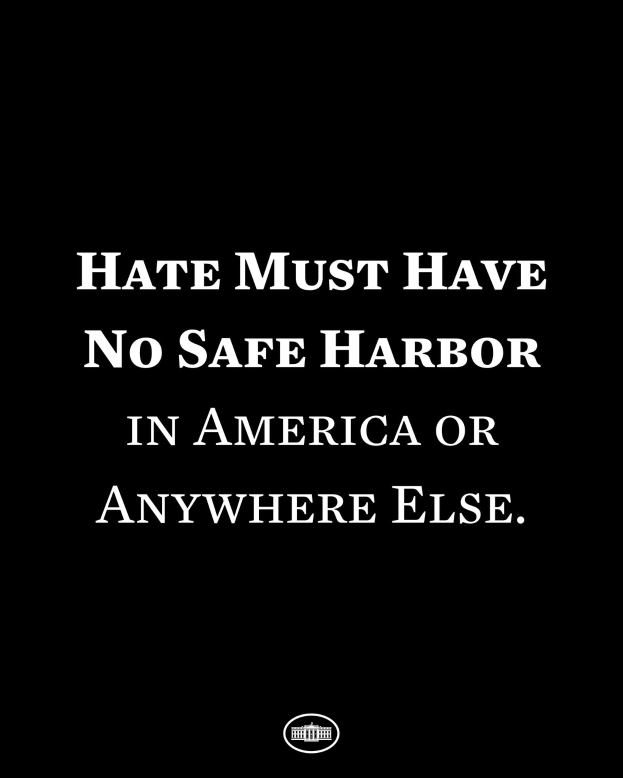 Ein schwarzer Hintergrund mit fetter weißer Schrift, die 'Hate Must Have No Safe Harbor in America or Anywhere Else' lautet, und ein Logo unten.