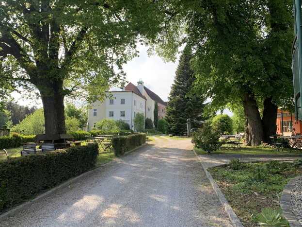 Ein Kiesweg schlängelt sich durch einen grünen Park mit Bäumen, Pflanzen, Gras, Bänken, Tischen und fernen Gebäuden unter einem Himmel voller weißer Wolken.