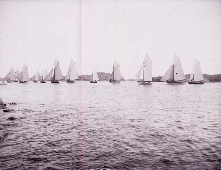 Schwarzes und weißes Foto von Segelbooten auf dem Wasser mit Hügeln im Hintergrund und einem klaren Himmel, beschriftet als Foto des New York Yacht Club.