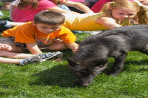 Eine Gruppe von Kindern sitzt auf dem Gras mit einem Hund in der Nähe.