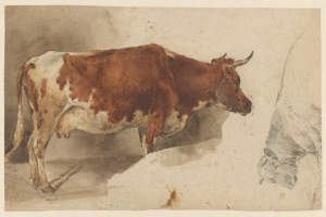 Eine braune und weiße Kuh steht aufrecht mit erhobenem Kopf und gespitzten Ohren neben einer anderen Kuh auf einem Papier mit Text, beide wirken zufrieden.