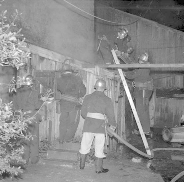 Schwarz-weiß-Foto von Feuerwehrmännern in Helmen, die auf einer Treppe stehen, einer auf einer Leiter und ein anderer mit einem Schlauch, ein Baum links und eine Wand im Hintergrund.