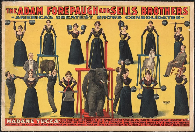 Plakat für das Zirkusunternehmen Adam Forepaugh und Sells Brothers mit Performern auf Hockern und einem Elefanten in der Mitte mit Text.