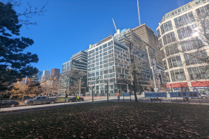 Stadtstraße in Toronto mit hohen Gebäuden, Fahrzeugen, Fußgängern, Bäumen und welken Blättern auf dem Boden.